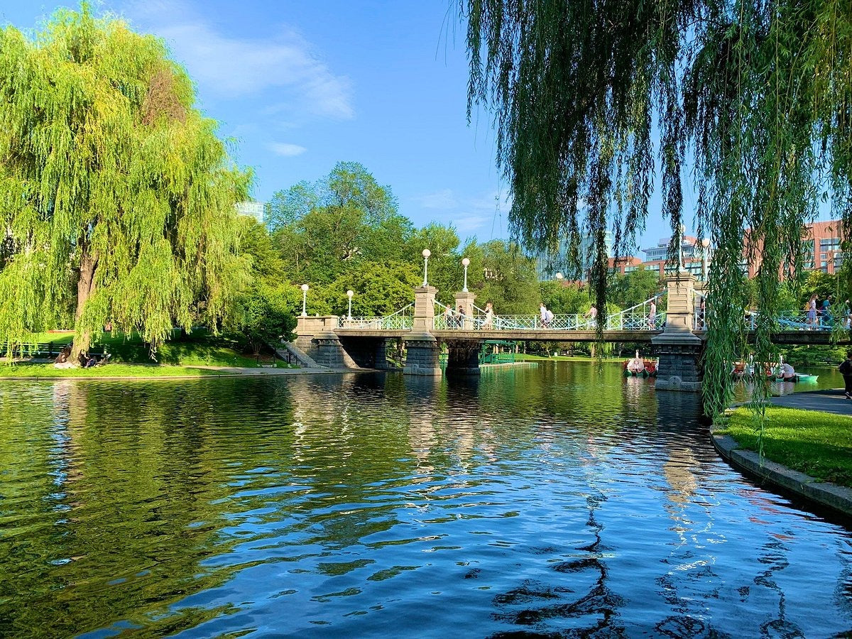 Elegant East with Boston